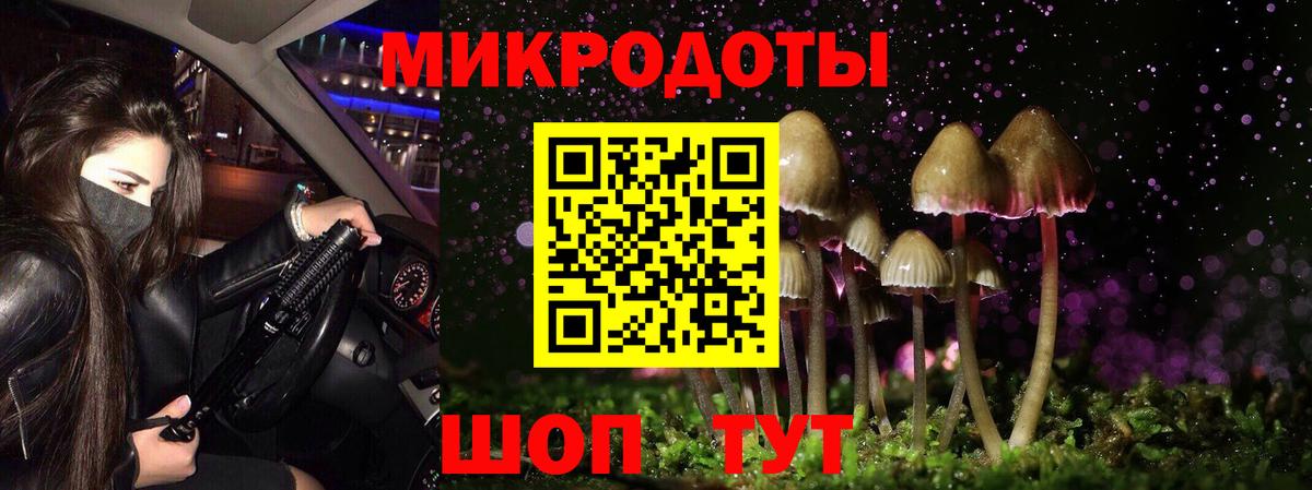 Галлюциногенные грибы мицелий  Галлюциногенные грибы Psilocybe  Вход с VPN  Михайловск 