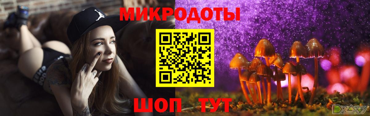 Псилоцибиновые грибы GOLDEN TEACHER Михайловск